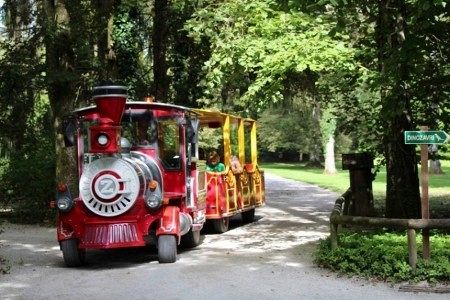Vabilo na medgeneracijsko druženje s svojci v Arboretumu