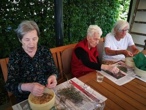Prebivalci doma starejših občanov na zeliščnem vrtu
